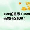 xsm的意思（xsml网络语言什么意思）