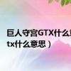 巨人守宫GTX什么意思（tx什么意思）