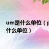 um是什么单位（pm是什么单位）