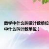 数学中什么叫做计数单位（数学中什么叫计数单位）