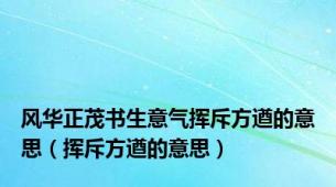 风华正茂书生意气挥斥方遒的意思（挥斥方遒的意思）