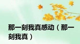 那一刻我真感动（那一刻我真）