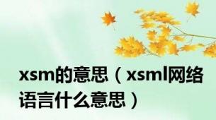 xsm的意思（xsml网络语言什么意思）