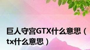 巨人守宫GTX什么意思（tx什么意思）