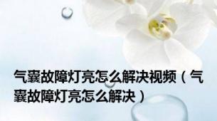 气囊故障灯亮怎么解决视频（气囊故障灯亮怎么解决）