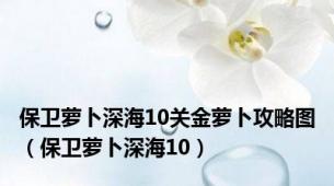 保卫萝卜深海10关金萝卜攻略图（保卫萝卜深海10）