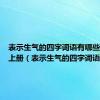 表示生气的四字词语有哪些二年级上册（表示生气的四字词语）