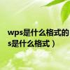 wps是什么格式的（wps是什么格式）