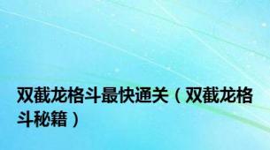 双截龙格斗最快通关（双截龙格斗秘籍）