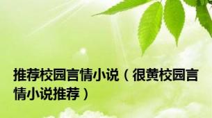 推荐校园言情小说（很黄校园言情小说推荐）