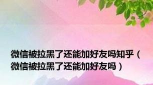 微信被拉黑了还能加好友吗知乎（微信被拉黑了还能加好友吗）