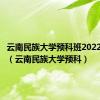 云南民族大学预科班2022分数线（云南民族大学预科）