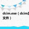 dcim.exe（dcim是什么文件）