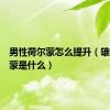 男性荷尔蒙怎么提升（雄性荷尔蒙是什么）