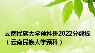 云南民族大学预科班2022分数线（云南民族大学预科）