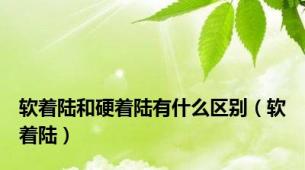 软着陆和硬着陆有什么区别（软着陆）