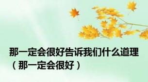 那一定会很好告诉我们什么道理（那一定会很好）