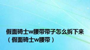 假面骑士w腰带带子怎么拆下来（假面骑士w腰带）