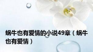 蜗牛也有爱情的小说49章（蜗牛也有爱情）