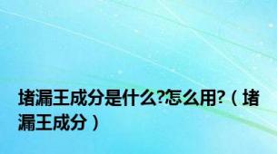 堵漏王成分是什么?怎么用?（堵漏王成分）