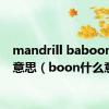 mandrill baboon什么意思（boon什么意思）