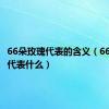 66朵玫瑰代表的含义（66朵玫瑰代表什么）