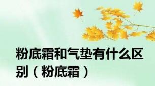 粉底霜和气垫有什么区别（粉底霜）