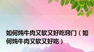 如何炖牛肉又软又好吃窍门（如何炖牛肉又软又好吃）