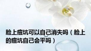 脸上痘坑可以自己消失吗（脸上的痘坑自己会平吗）