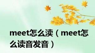 meet怎么渎（meet怎么读音发音）