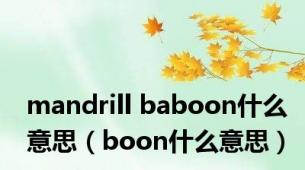 mandrill baboon什么意思（boon什么意思）