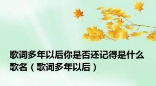 歌词多年以后你是否还记得是什么歌名（歌词多年以后）