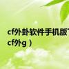 cf外卦软件手机版下载（cf外g）