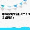 中国最难的成语50个（令人喷饭是成语吗）