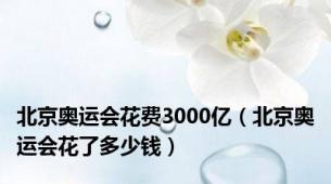 北京奥运会花费3000亿（北京奥运会花了多少钱）