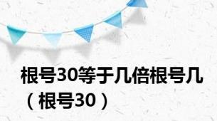 根号30等于几倍根号几（根号30）