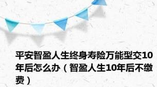 平安智盈人生终身寿险万能型交10年后怎么办（智盈人生10年后不缴费）