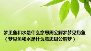 梦见鱼和水是什么意思周公解梦梦见捞鱼（梦见鱼和水是什么意思周公解梦）