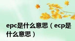 epc是什么意思（ecp是什么意思）