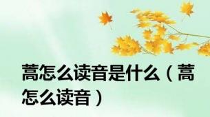 蒿怎么读音是什么（蒿怎么读音）