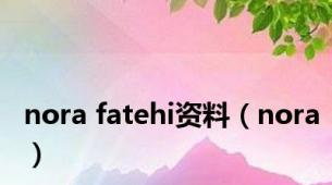 nora fatehi资料（nora）