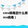 cmv病毒是什么意思（cmv病毒）