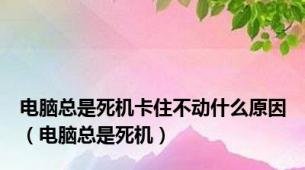 电脑总是死机卡住不动什么原因（电脑总是死机）