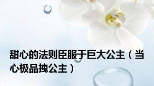 甜心的法则臣服于巨大公主（当心极品拽公主）