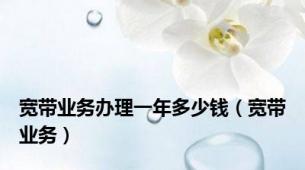 宽带业务办理一年多少钱（宽带业务）