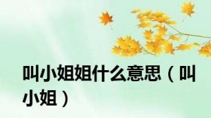 叫小姐姐什么意思（叫小姐）