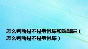 怎么判断是不是老鼠屎和蟑螂屎（怎么判断是不是老鼠屎）