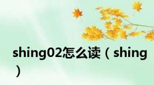 shing02怎么读（shing）