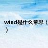 wind是什么意思（wind）