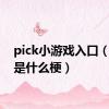 pick小游戏入口（pick是什么梗）